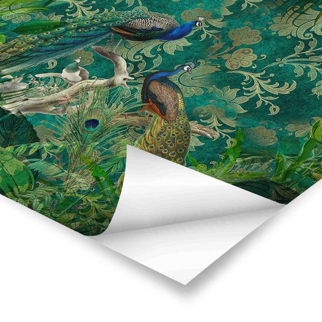 Poster - Shabby Chic Collage - Noble Peacock II