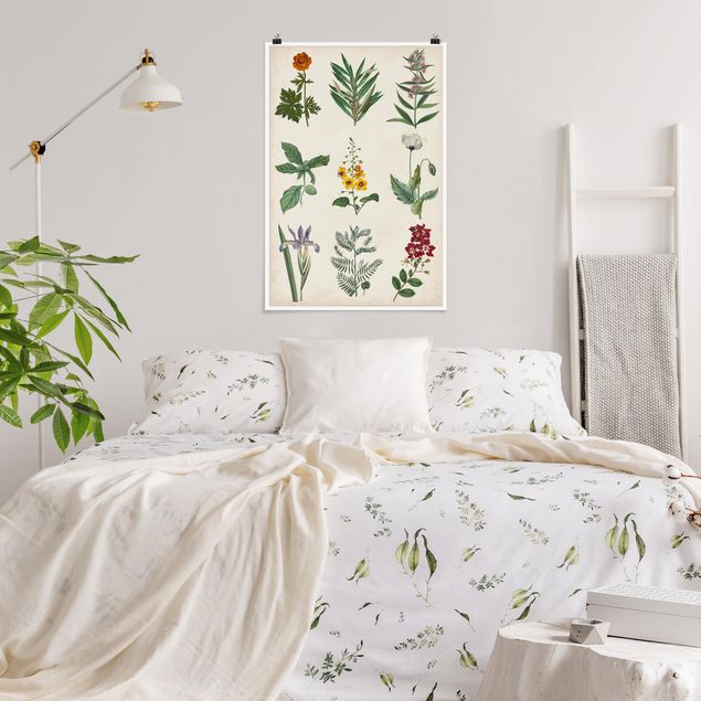 Poster flowers - Botanical Poster II