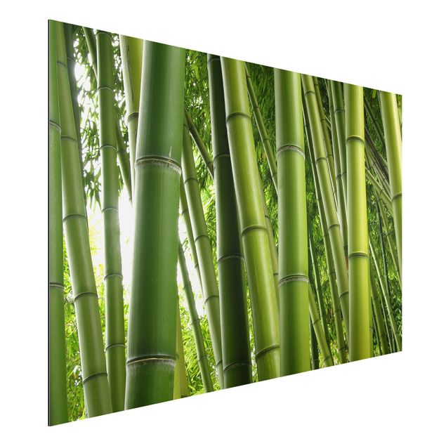 Dibond Bamboo Trees No.1