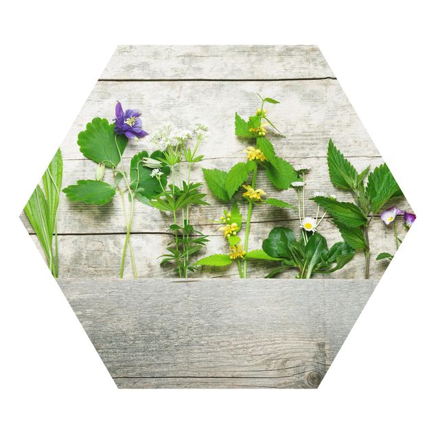 Forex hexagon - Medicinal and Meadow Herbs
