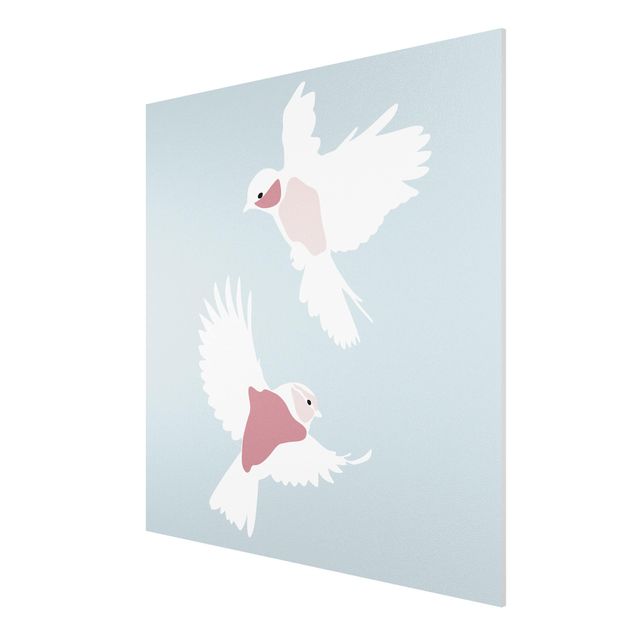Print on forex - Line Art Pigeons Pastel