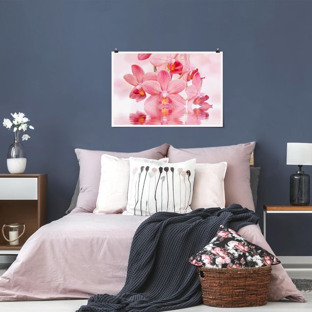Poster - Light Pink Orchid On Water