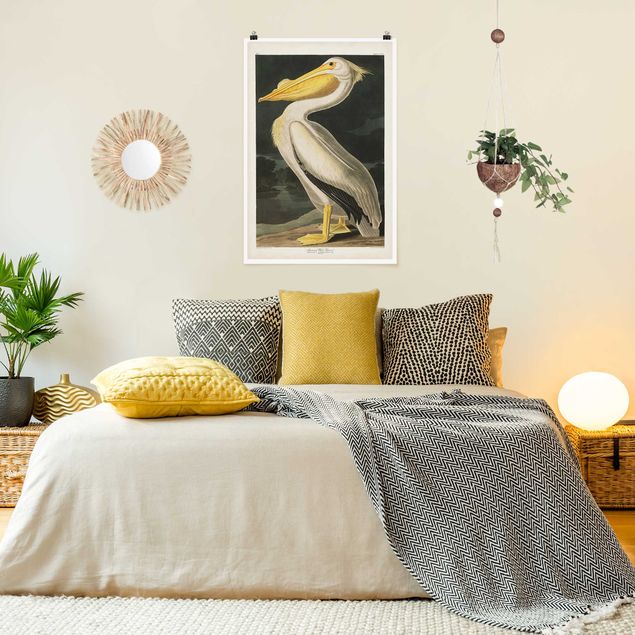Poster - Vintage Board White Pelican