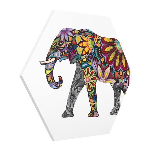 Forex hexagon - No.651 Elephant Pattern