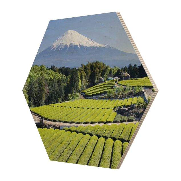 Wooden hexagon - Tea Fields In Front Of The Fuji