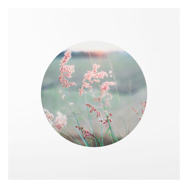 Splashback - Pink Flowers In A Circle - Square 1:1