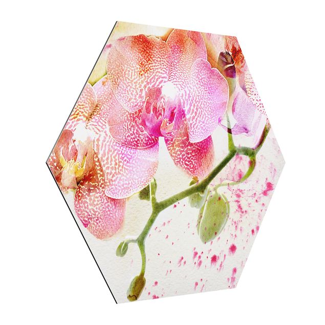 Alu-Dibond hexagon - Watercolour Flowers Orchids