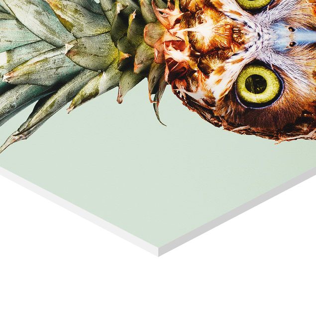 Forex hexagon - Pineapple With Owl