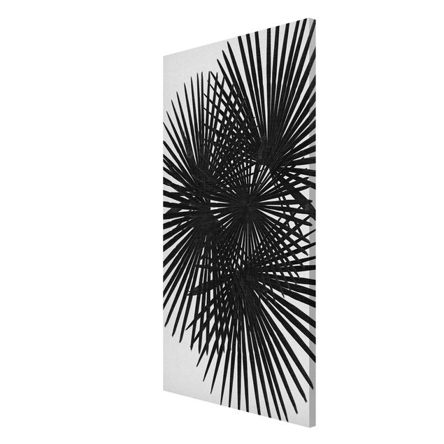 Magnetic memo board - Palm Leaves In Black And White