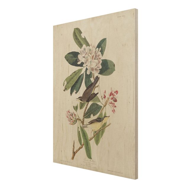 Print on wood - Vintage Board Warbler