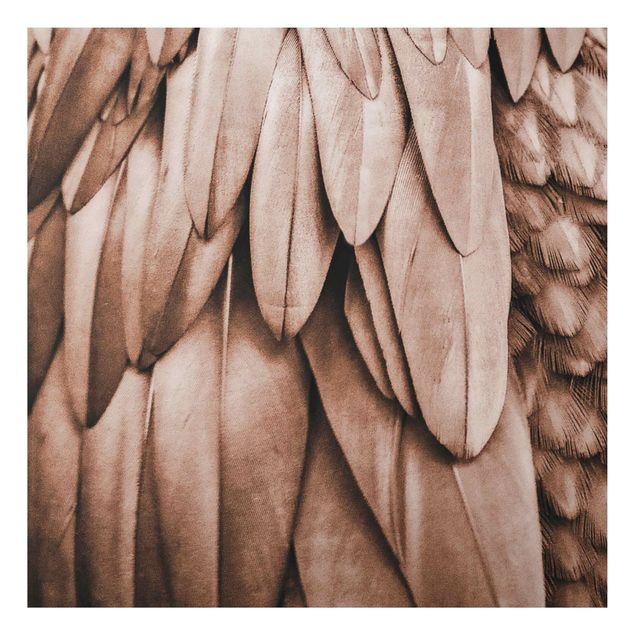Print on aluminium - Feathers In Rosegold