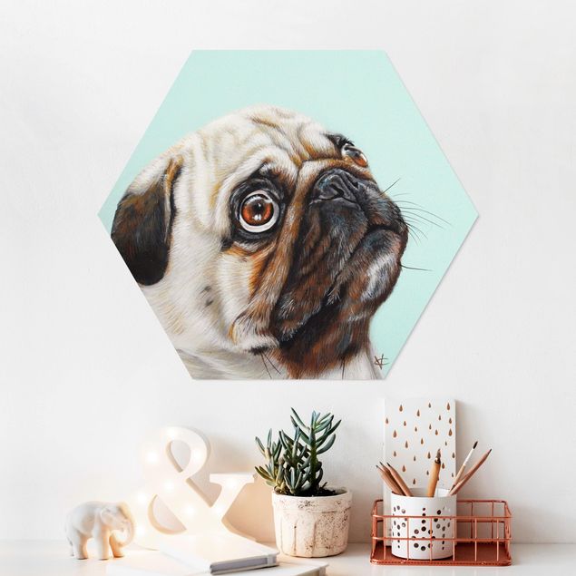 Forex hexagon - Reward For Pug
