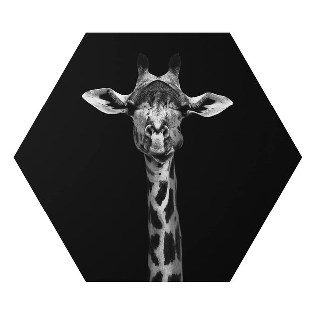Alu-Dibond hexagon - Dark Giraffe Portrait