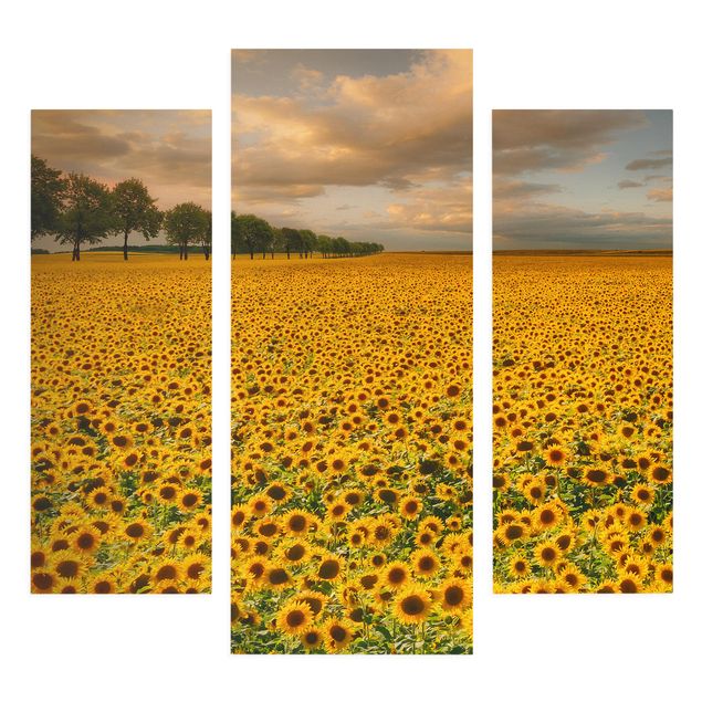 Print on canvas 3 parts - Field With Sunflowers