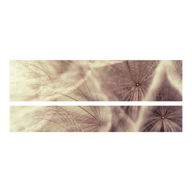 Adhesive film for furniture IKEA - Malm bed 180x200cm - Detailed Dandelion Macro Shot With Vintage Blur Effect