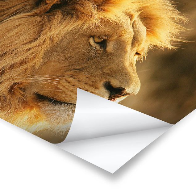 Poster - King Lion