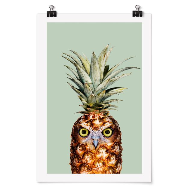 Poster animals - Pineapple With Owl