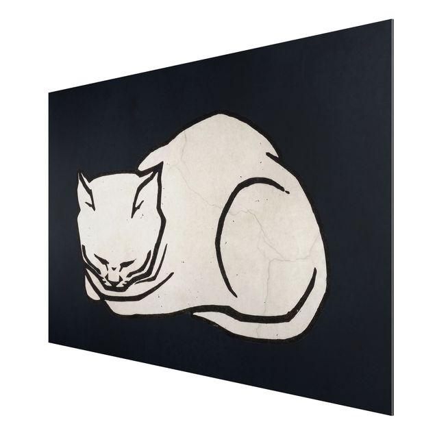 Alu-Dibond print - Sleeping Cat Illustration