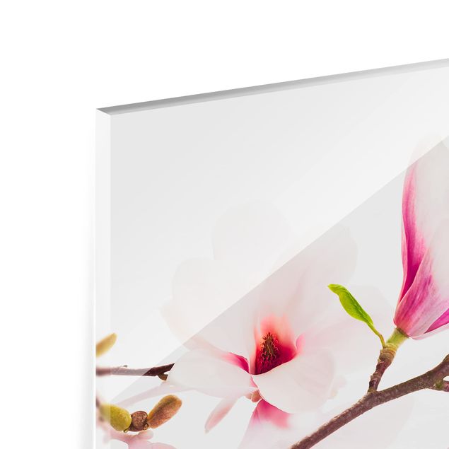 Glass Splashback - Delicate Magnolia Branch - Landscape 3:4