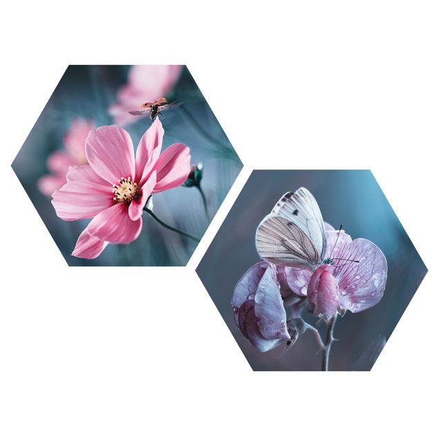 Alu-Dibond hexagon - Butterfly And Ladybug On Flowers