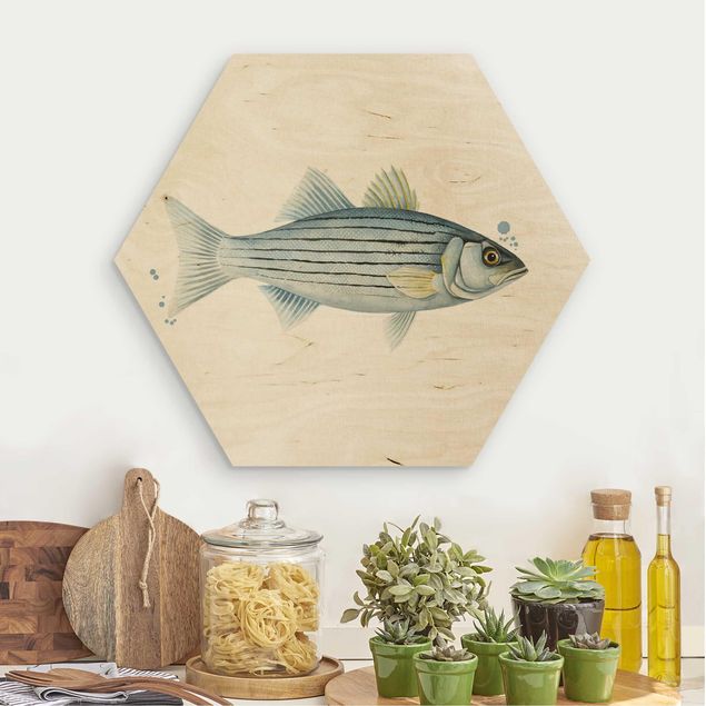 Wooden hexagon - Color Catch - White Perch