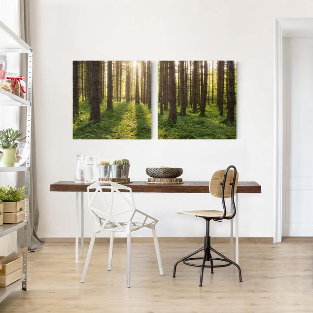 Print on canvas 2 parts - Sun Rays In Green Forest