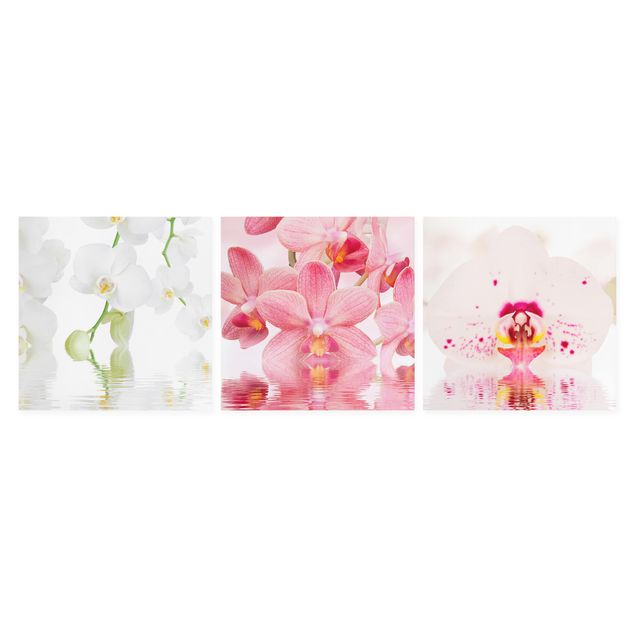 Print on canvas 3 parts - Orchids On Water