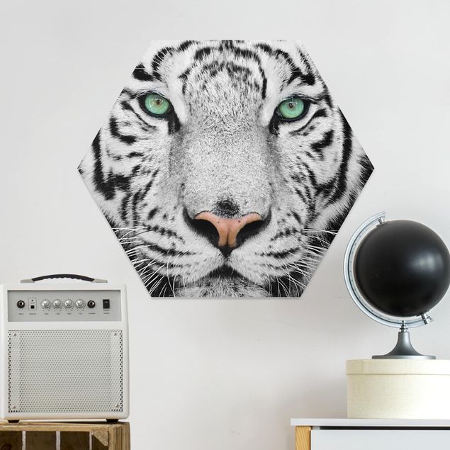 Forex hexagon - White Tiger