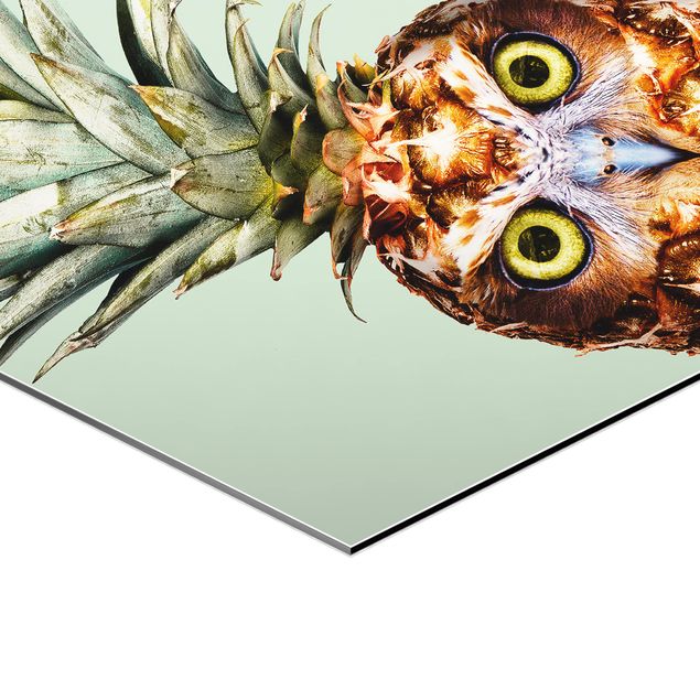 Alu-Dibond hexagon - Pineapple With Owl
