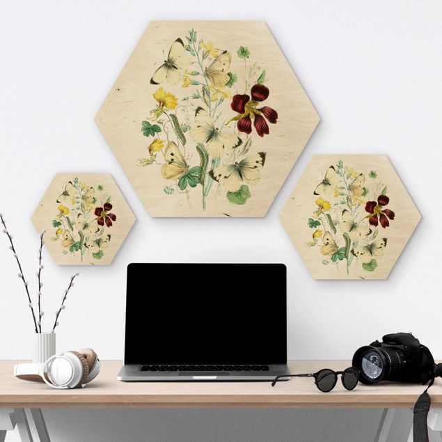 Wooden hexagon - British Butterflies II