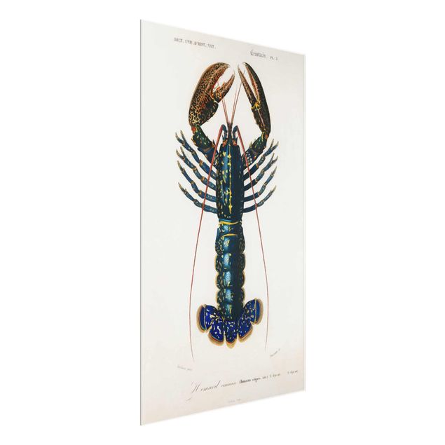 Glass print - Vintage Board Blue Lobster