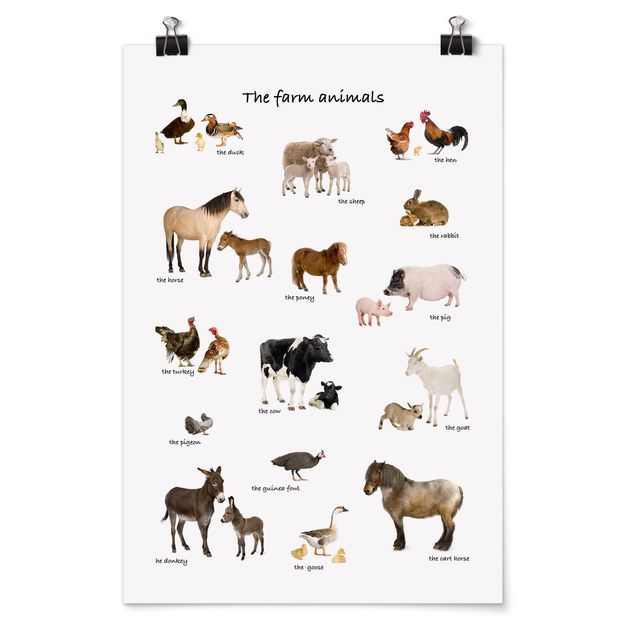 Poster - Farm Animals