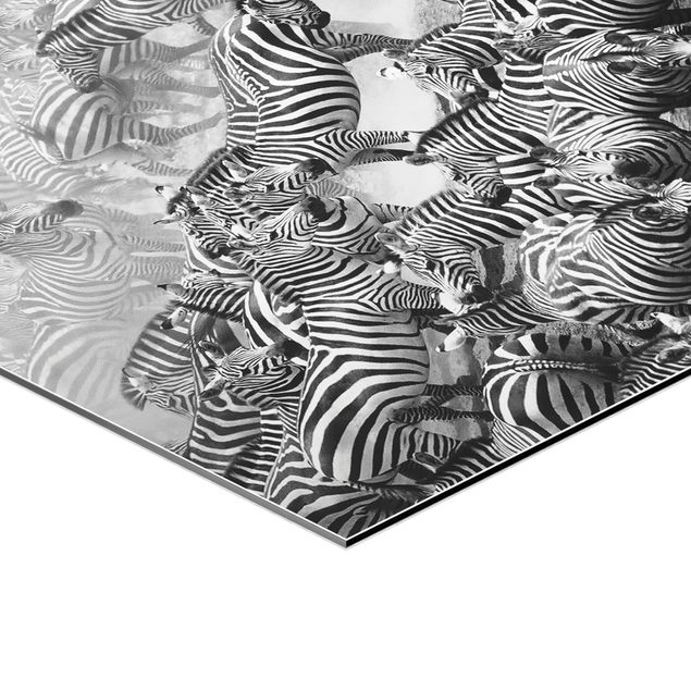 Alu-Dibond hexagon - Zebra herd II