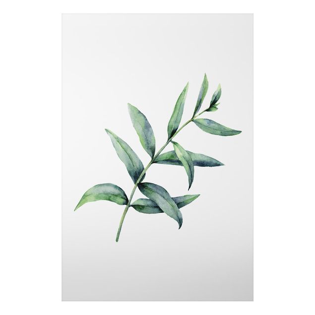 Print on aluminium - Waterclolour Eucalyptus l