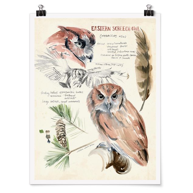 Poster flowers - Wilderness Journal - Owl