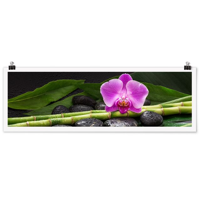 Poster - Green Bamboo With Orchid Flower
