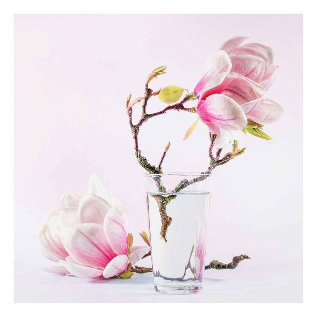 Glass print - Magnolia In A Glass