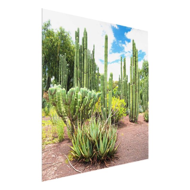 Glas Magnettafel Cactus Landscape