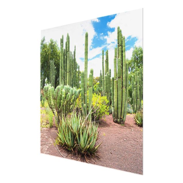 Glass print - Cactus Landscape
