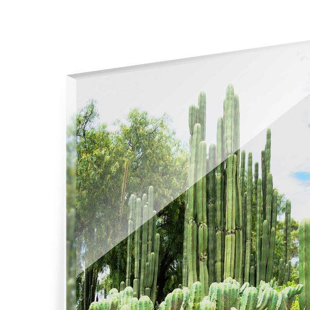 Glass print - Cactus Landscape