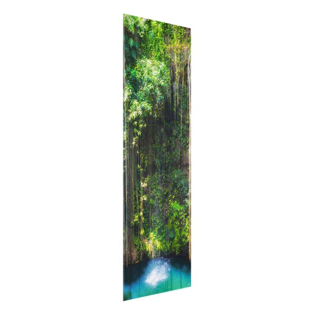 Glas Magnettafel Hanging Roots Of Ik-Kil Cenote