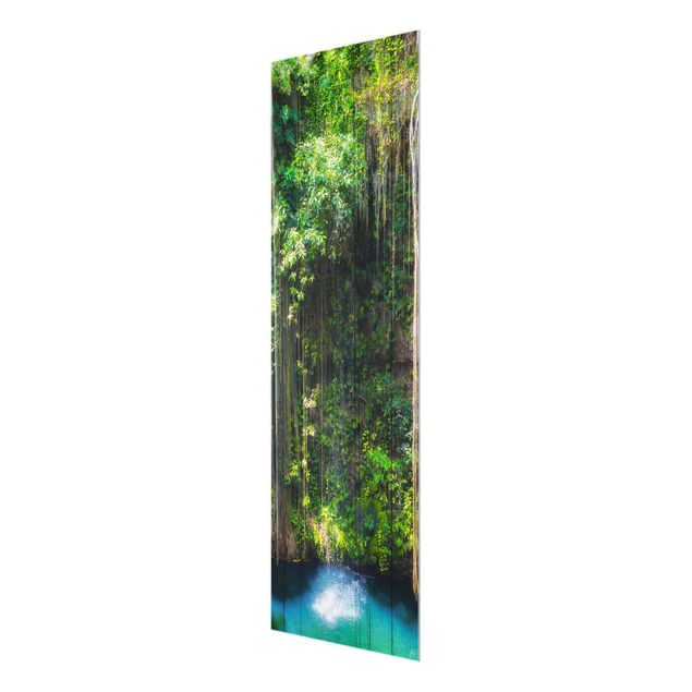 Glass print - Hanging Roots Of Ik-Kil Cenote