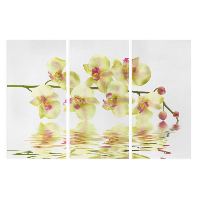 Print on canvas 3 parts - Dreamy Orchid Waters