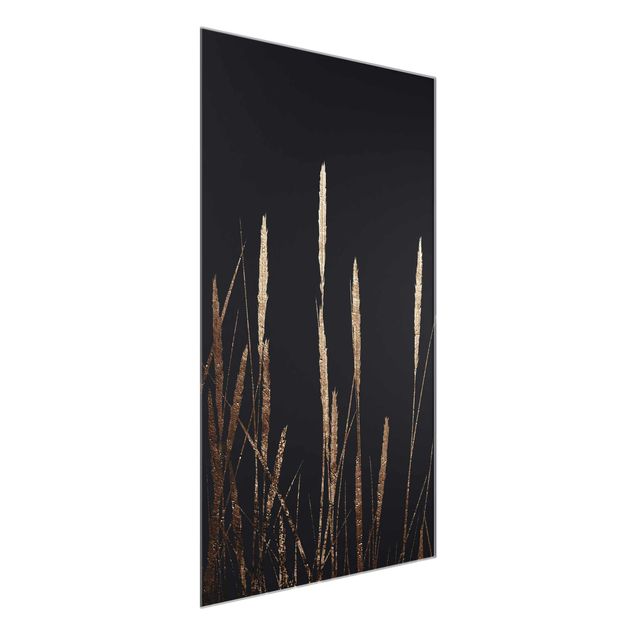 Glass print - Graphical Plant World - Golden Reed