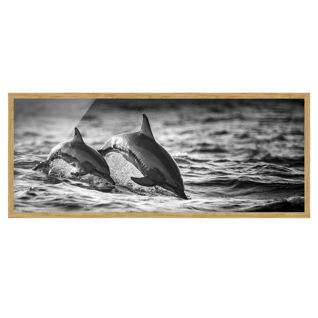 Framed poster - Two Jumping Dolphins