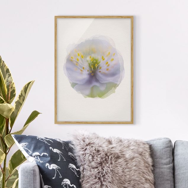Framed poster - WaterColours - Anemones Beauty
