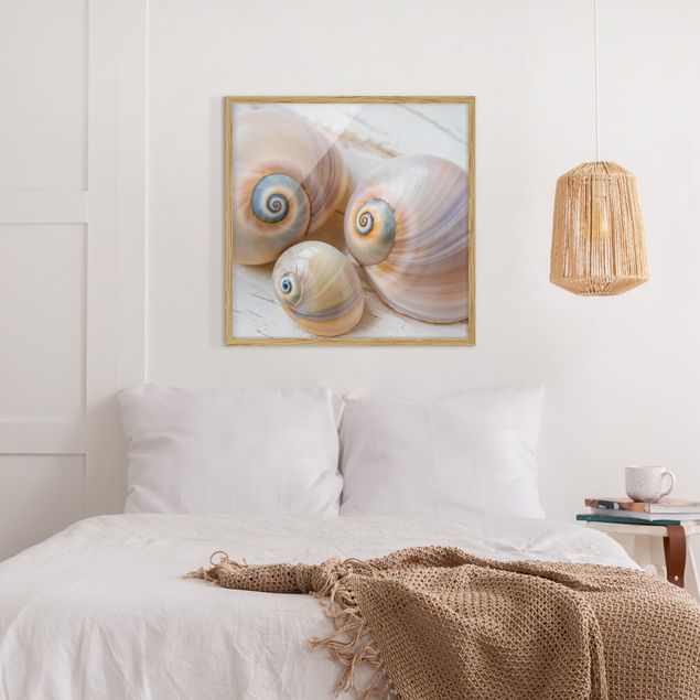 Framed poster - Clam Trio On Wood