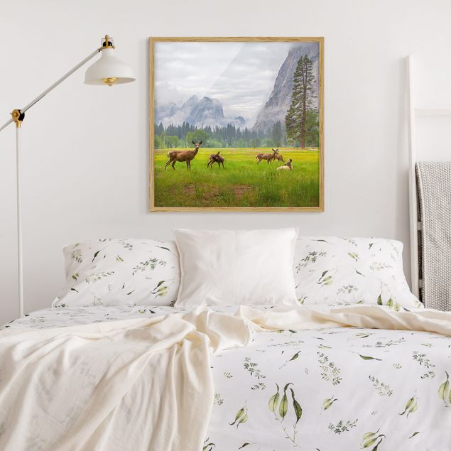 Framed poster - Deer In The Mountains