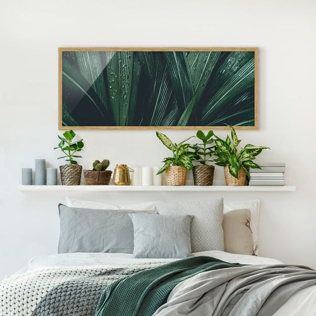 Framed poster - Green Palm Leaves