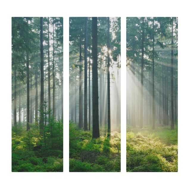 Print on canvas 3 parts - Enlightened Forest